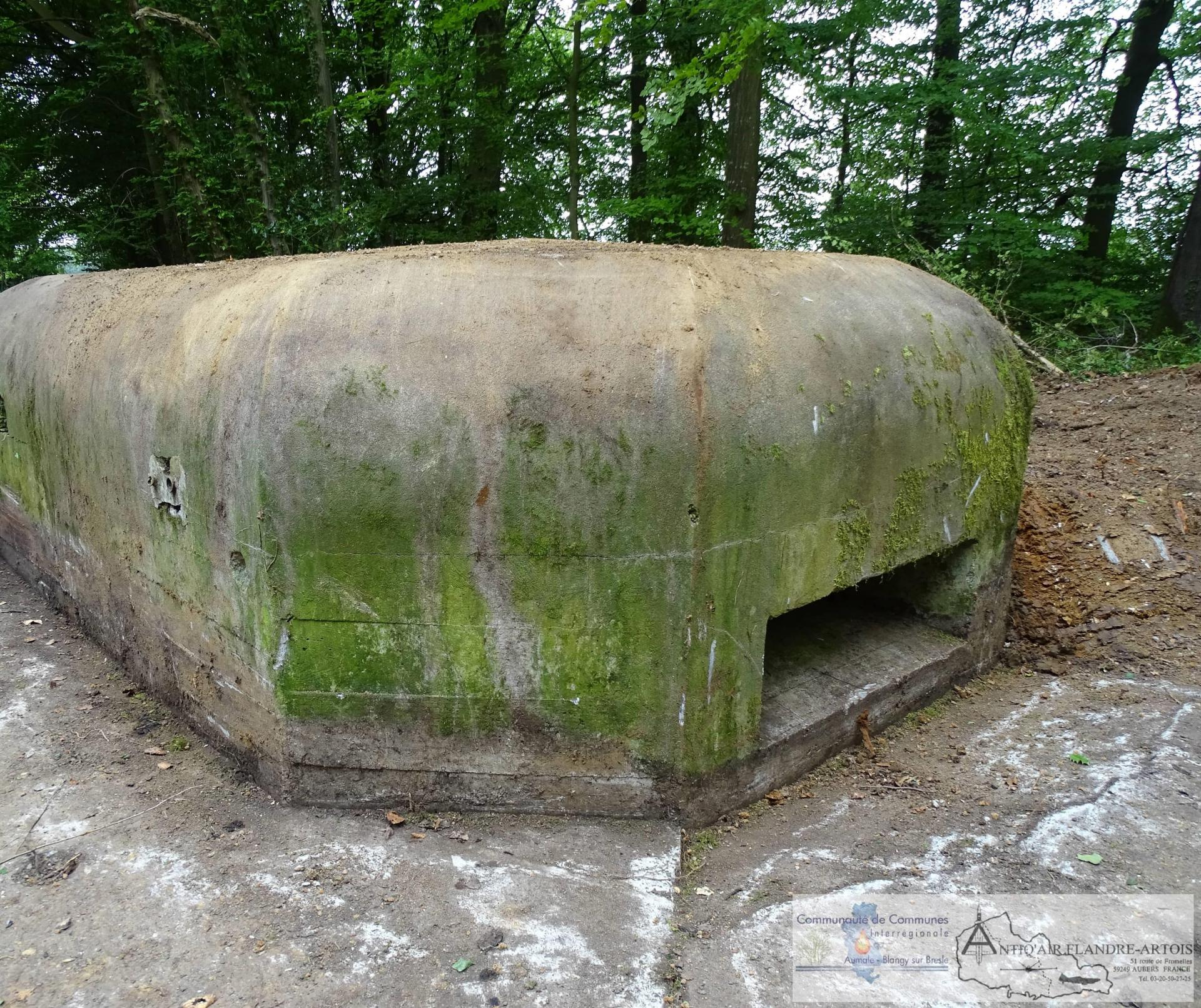 A visitor in the Beaulieu site
