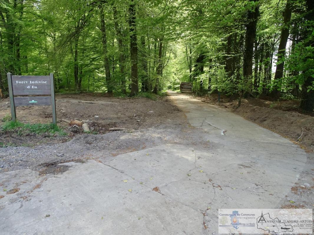 L'une des pistes du réseau bétonné présent sur le site